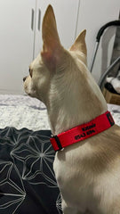 Red | Dog Collar
