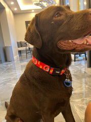 Elmo | Dog Collar