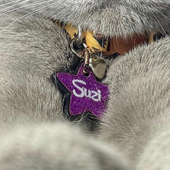 Mor Glitter Yıldız | İsimlik