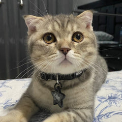 Gri Glitter Yıldız | İsimlik