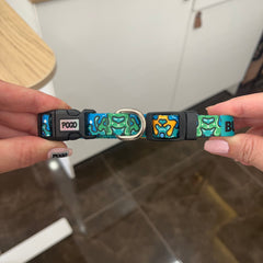 Splat | Dog Collar