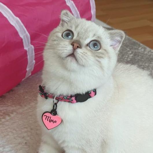 Pinky | Cat Collar