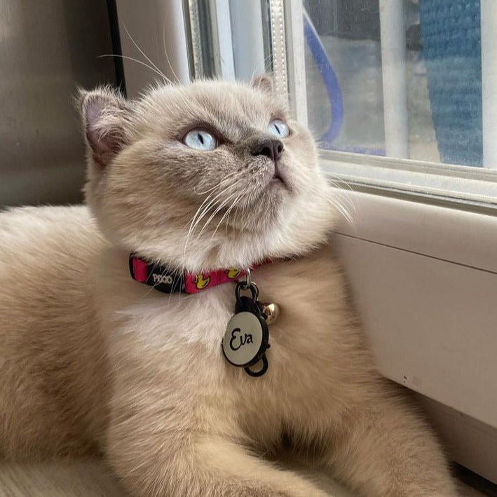 Lumi Yuvarlak Fosforlu | İsimlik