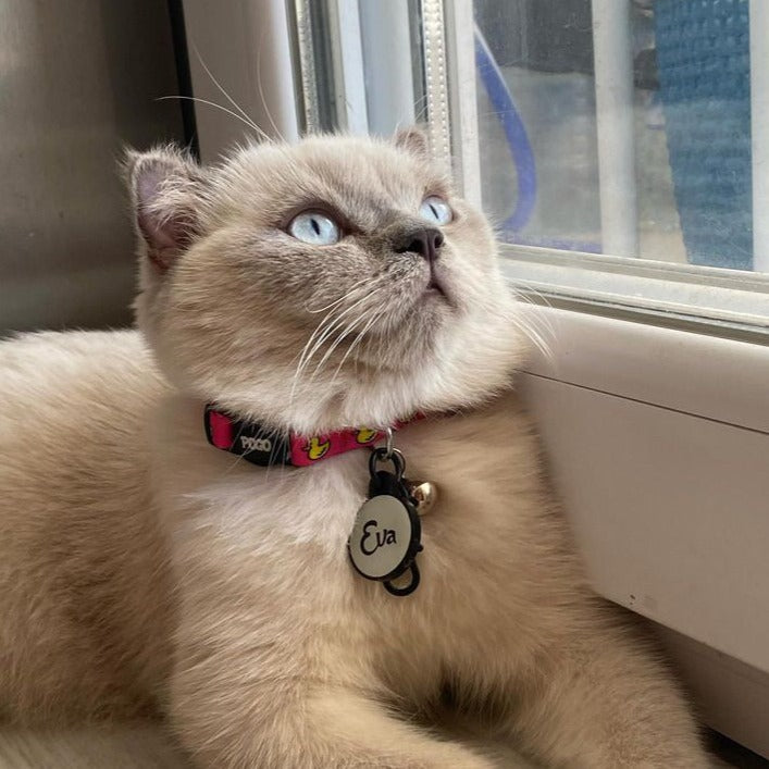 Pink Duck | Cat Collar
