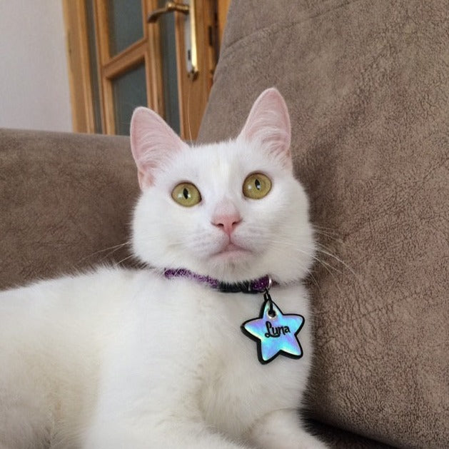 Holographic Yıldız | İsimlik