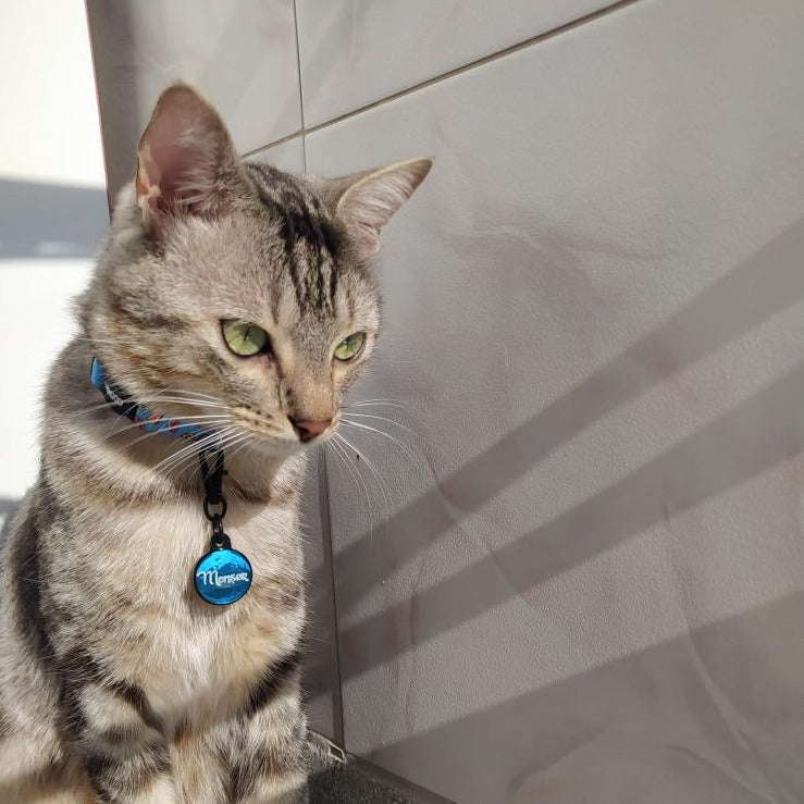 Mavi Metalik Yuvarlak | İsimlik