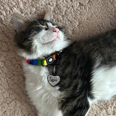 Gri Hologram Kalp | İsimlik