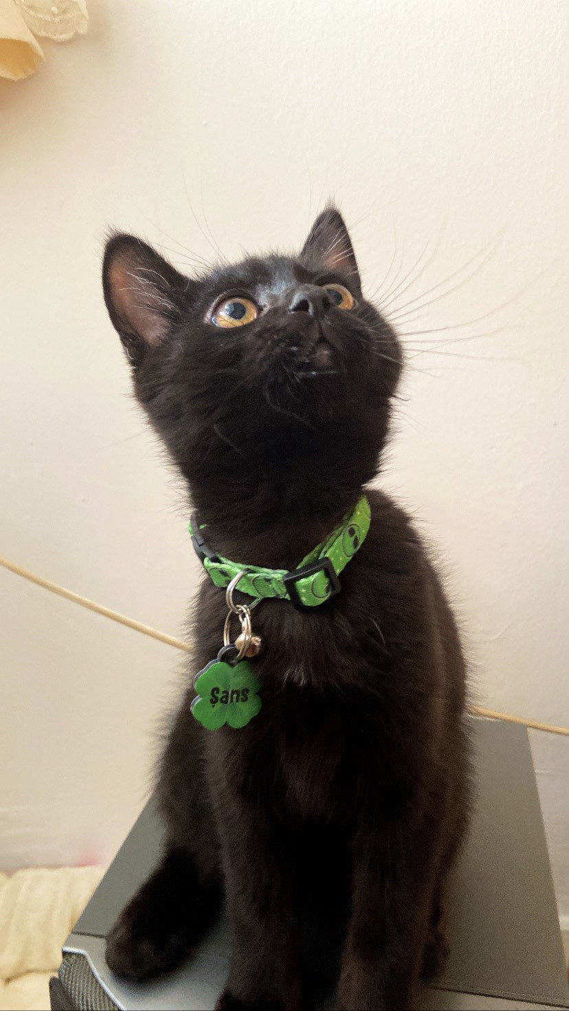 Alien | Kedi Tasması