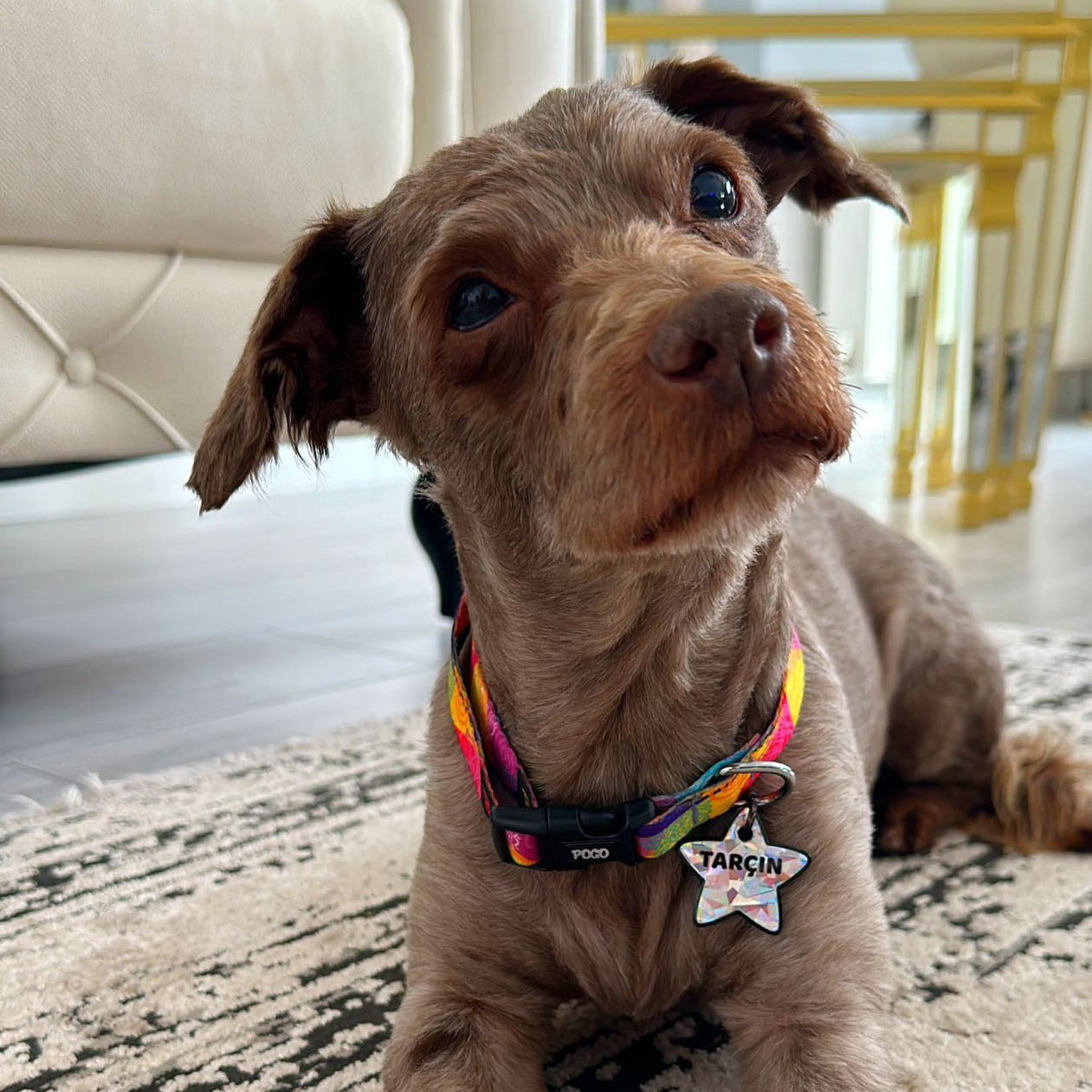 Gri Hologram Yıldız | İsimlik