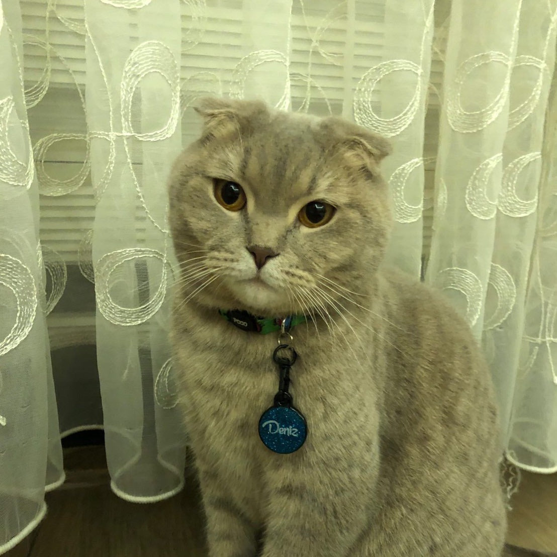 Mavi Glitter Yuvarlak | İsimlik