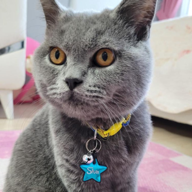 Mavi Metalik Yıldız | İsimlik