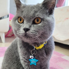 Mavi Metalik Yıldız | İsimlik