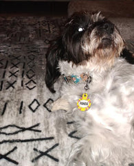 Karpuz 2 Desenli Yuvarlak