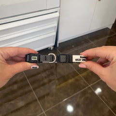 Zig Zag | Dog Collar