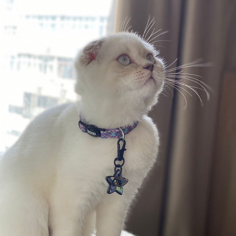 Flake | Kedi Tasması