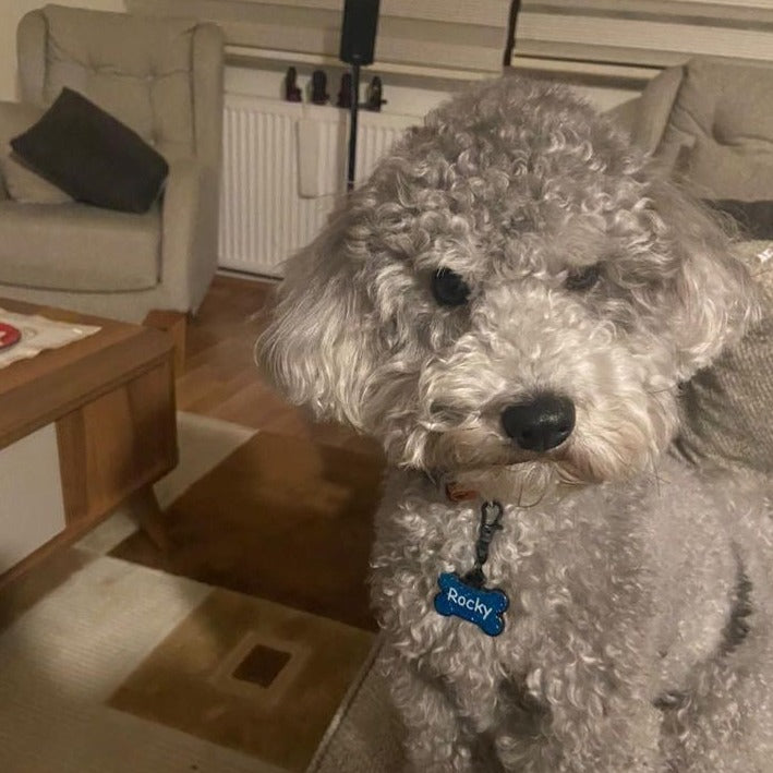 Mavi Glitter Kemik | İsimlik