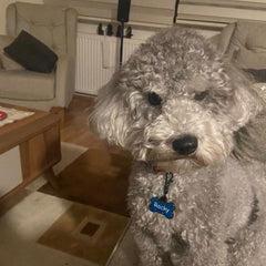 Mavi Glitter Kemik | İsimlik