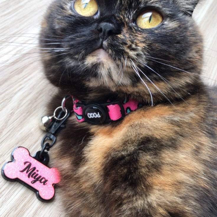 Pinky | Cat Collar