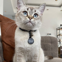 Gri Glitter Yuvarlak | İsimlik