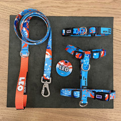 Molly | Tasma ve Künye Seti