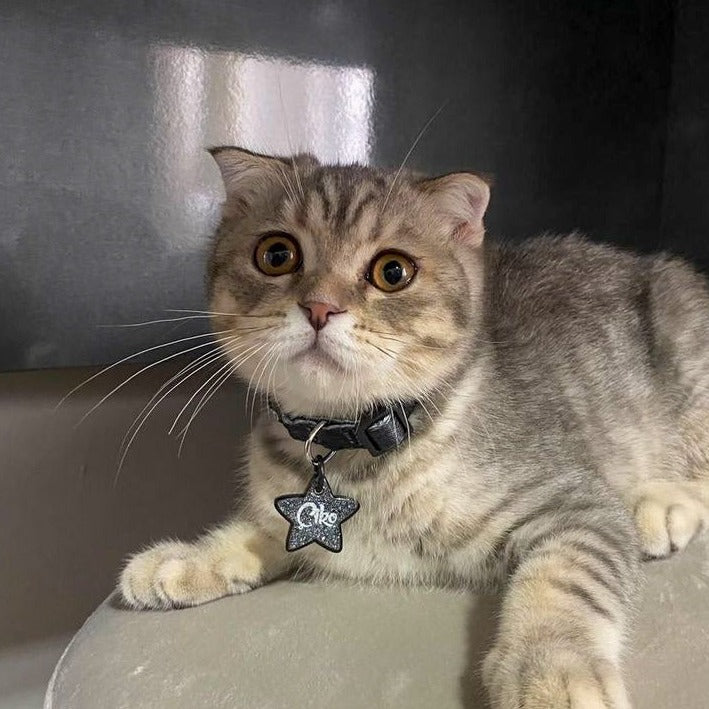 Gri Glitter Yıldız | İsimlik