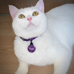 Mor Glitter Yuvarlak | İsimlik