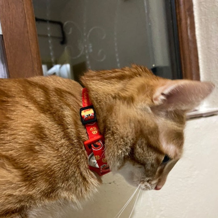 Elmo | Kedi Tasması