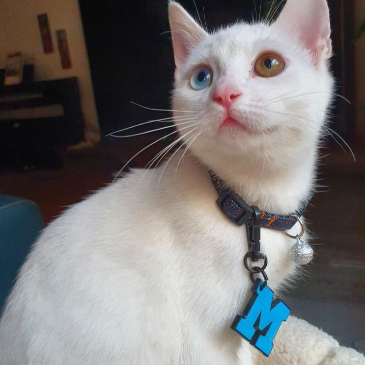 Mavi Neon Harf Künyeler | Tüm Harfler