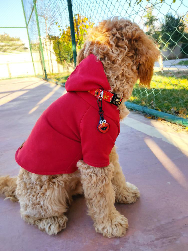 Elmo | Dog Collar