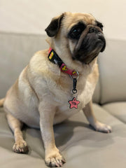 Pink Duck | Dog Collar
