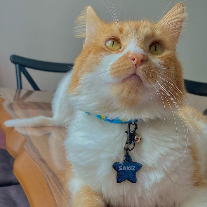 Mavi Glitter Yıldız | İsimlik