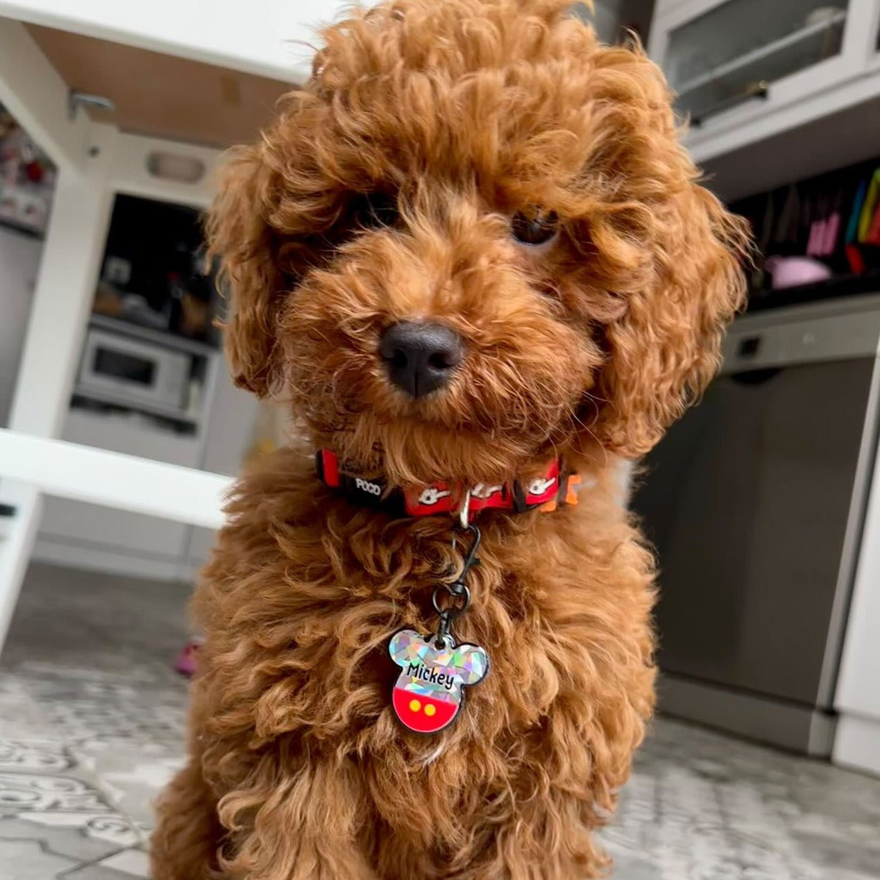 Mickey Hologram | İsimlik