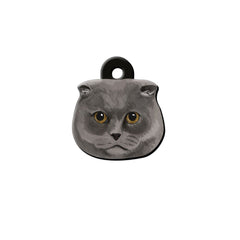 Scottish Fold Kedi Cinsleri TagsForever