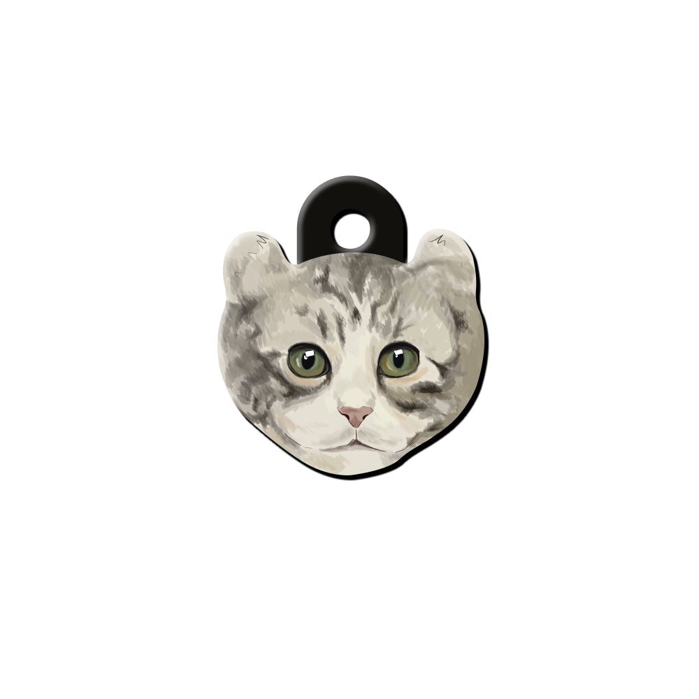 American Curl Cinsi | Kedi İsimlik Kedi Cinsleri TagsForever