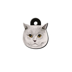 British Shorthair Kedi Cinsleri TagsForever