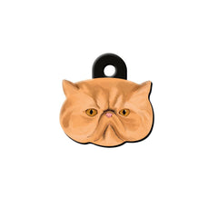 İran Kedisi Kedi Cinsleri TagsForever