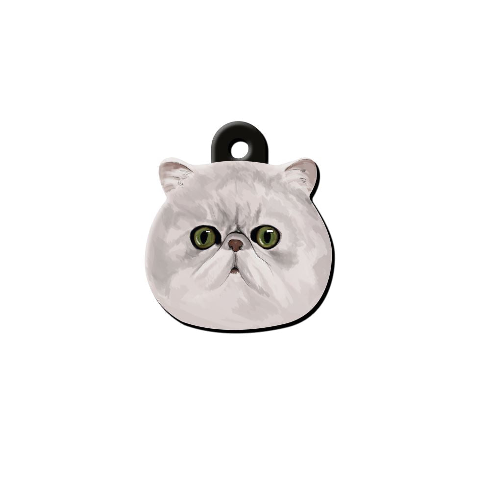Chinchilla Kedi Cinsleri TagsForever