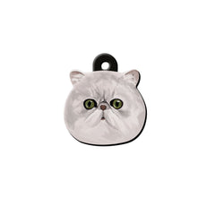 Chinchilla Kedi Cinsleri TagsForever