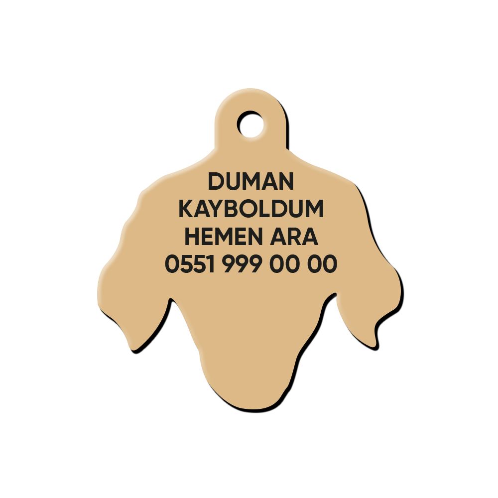 Golden Retriever Köpek Cinsleri TagsForever