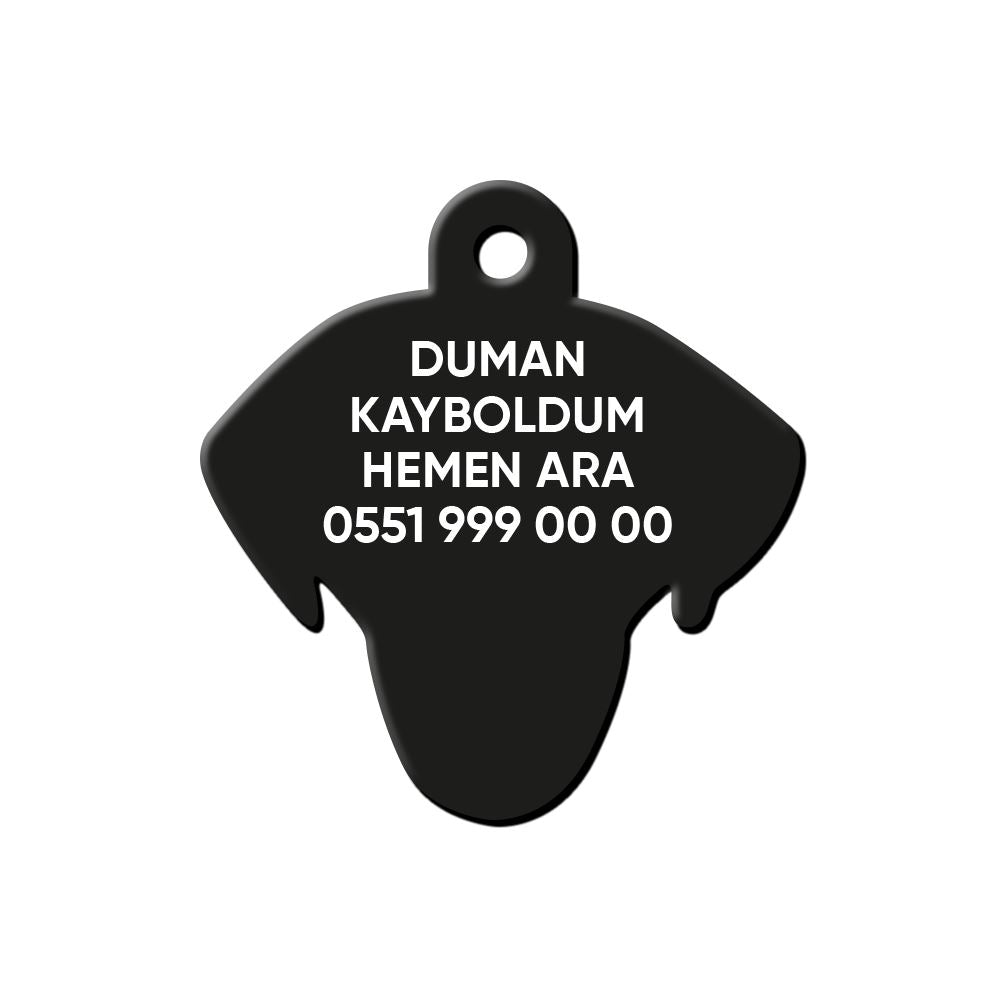 Dalmaçyalı Köpek Cinsleri TagsForever