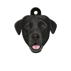 Labrador Köpek Cinsleri TagsForever