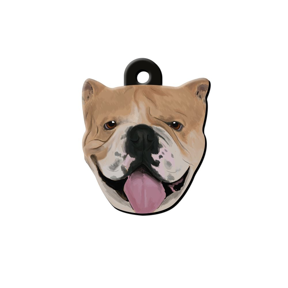 English Bull Köpek Cinsleri TagsForever