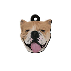 English Bull Köpek Cinsleri TagsForever