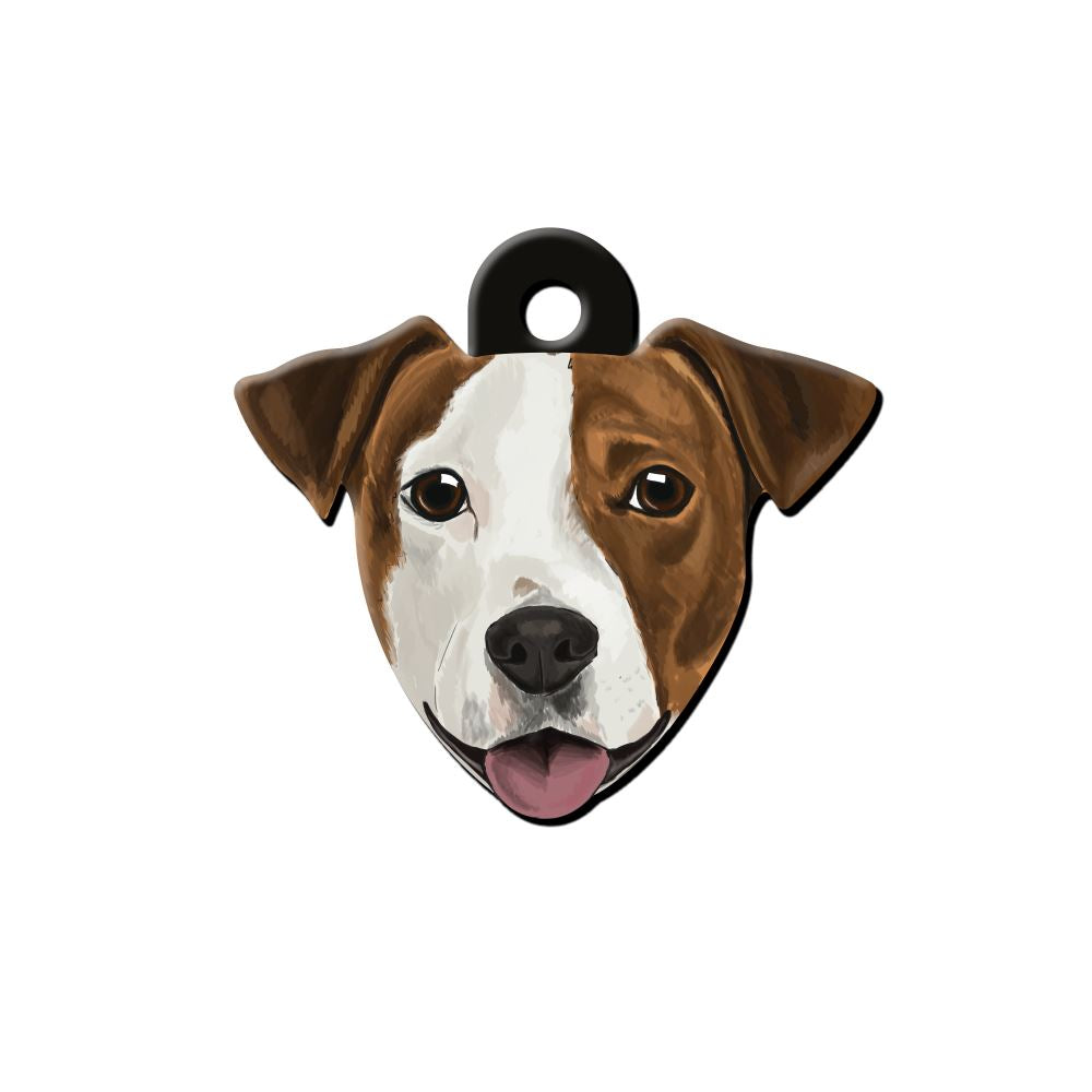 Jack Russell Köpek Cinsleri TagsForever