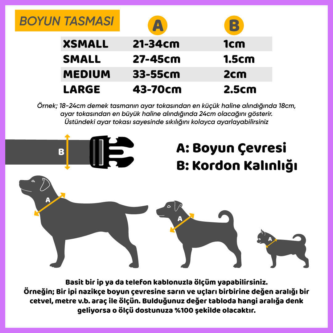 Black | Dog Collar