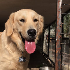 Gri Glitter Kemik | İsimlik