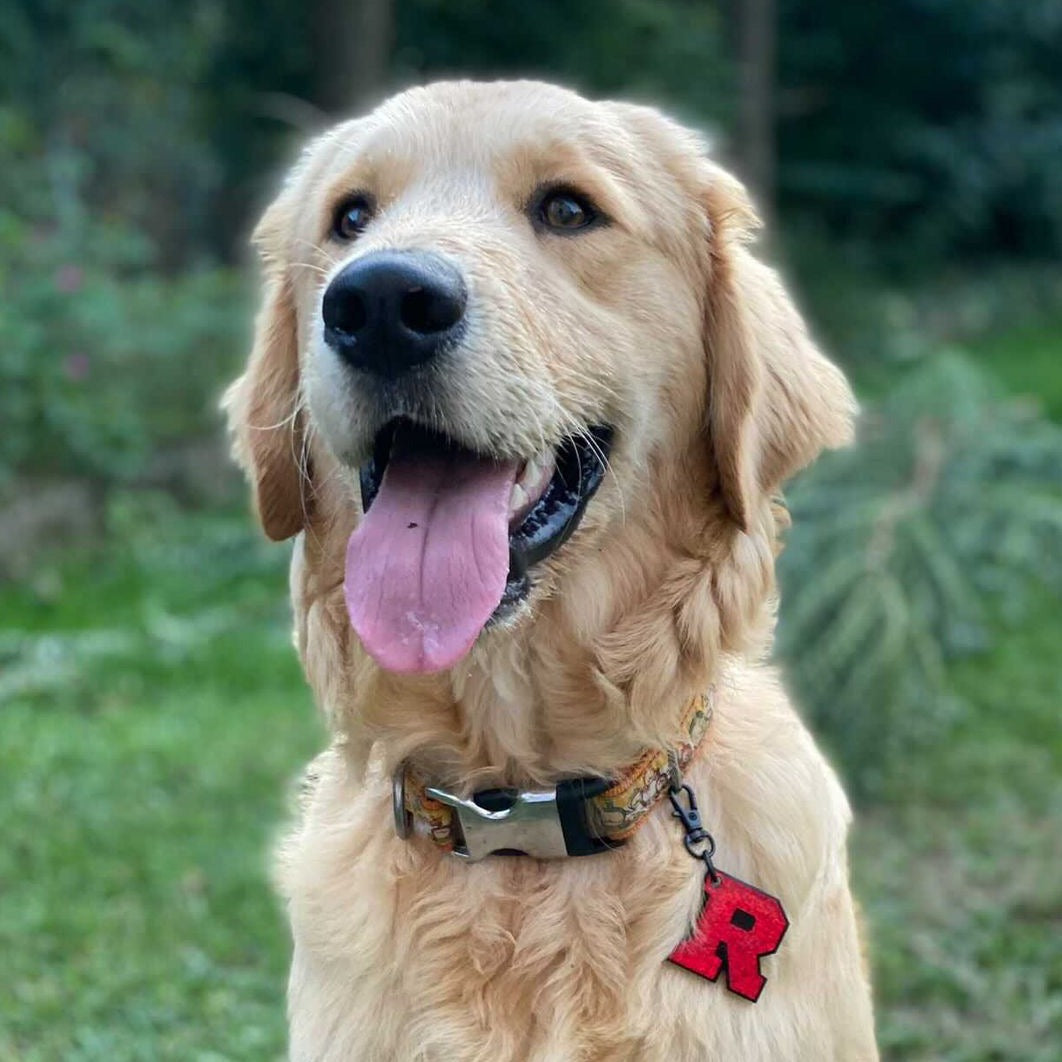 Kırmızı Hologram Harf Künyeler | Tüm Harfler