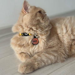 Bakır Hologram Yuvarlak | İsimlik