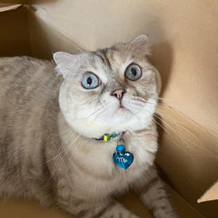 Mavi Metalik Kalp | İsimlik