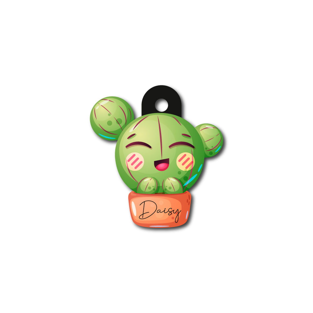 CK Kaktüs | Kedi Köpek İsimlik - Evcil hayvanlar için mükemmel bir ürün.